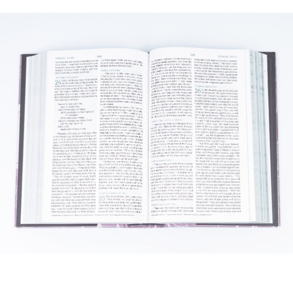 ESV Womens Devotional Bible Cloth - Image 4
