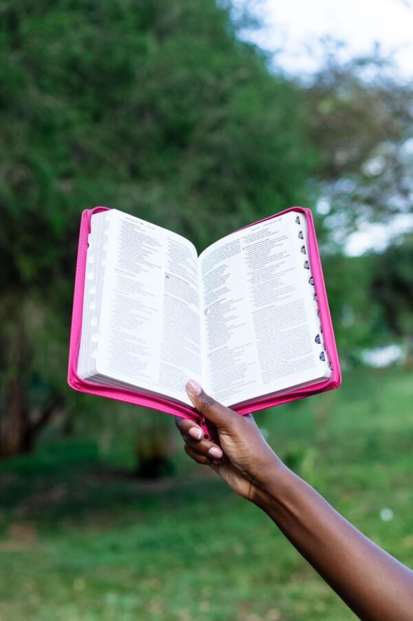 NLT Pink Faux Leather Standard Bible Thumb Indexed With Zip - Image 4
