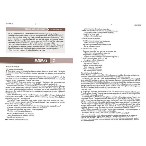 NLT Landscape Hardcover Everyday Devotional Bible For Men - Image 3