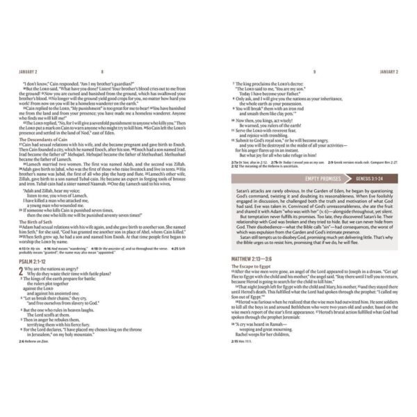 NLT Landscape Hardcover Everyday Devotional Bible For Men - Image 3