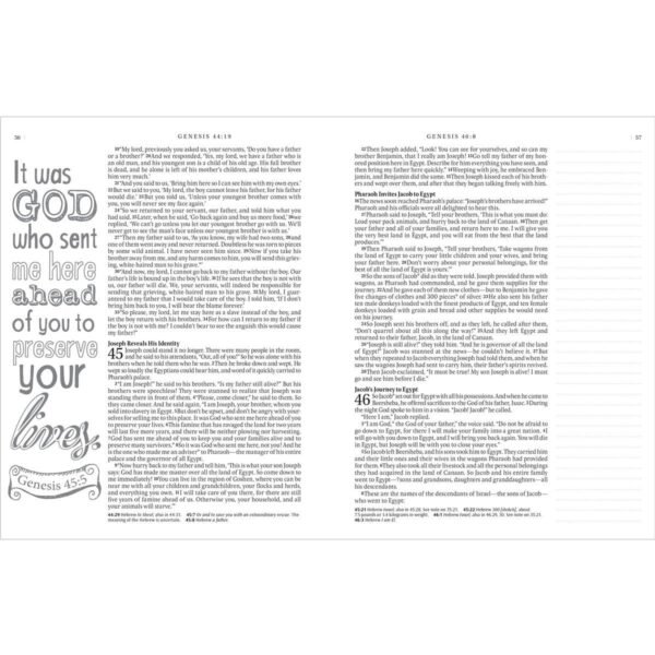 NLT Blue Faux Leather Hardcover Inspire Bible - Image 4
